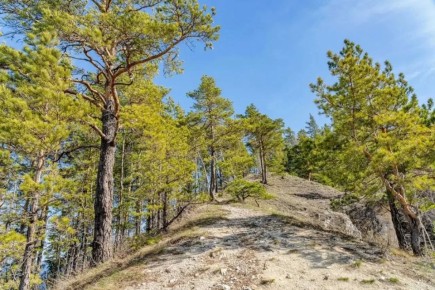 ���� � ������ �������� ��� ������ ����, ��� ����� ��������� �� �������