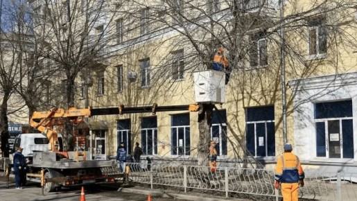 ����� ������ ������������ ������, ��� � ������ 2026 ���� ������� ������� 800 ������������ ��������