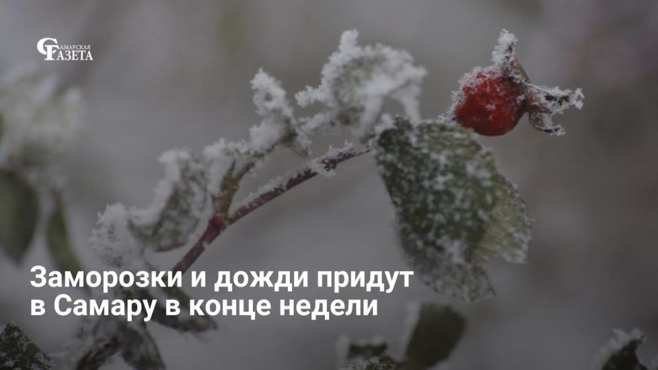 ��������� ������������ ���� ������������ ������ ����������� � ��������� �������: � ���� �� 17 ������ ����������� ������ �� 0�C