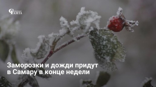 Синоптики Приволжского УГМС прогнозируют резкое похолодание в Самарской области: в ночь на 17 апреля температура упадет до 0°C