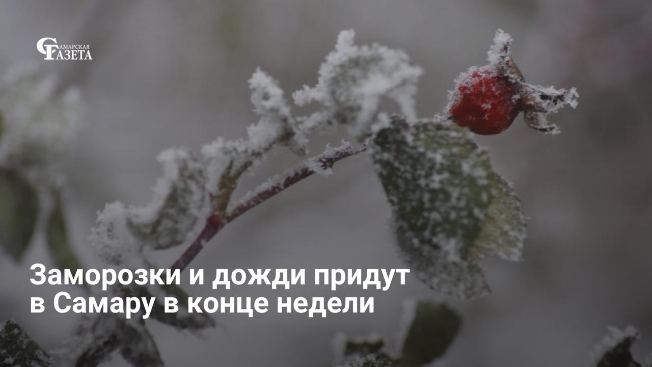 Синоптики Приволжского УГМС прогнозируют резкое похолодание в Самарской области: в ночь на 17 апреля температура упадет до 0°C