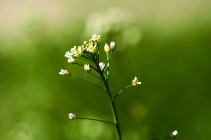 ����� �� ����, �����, ��� ������ ������, ��� �� �������, ���� � ��� ����������� ��� ������� ������ � �����, ����������� � ������� ������, ��� �� ���� ����������, �� ����� ����������� � ������� ��� ��������� �� ��������...