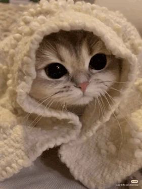 ���. � ������ ��������� ��������� �� -3