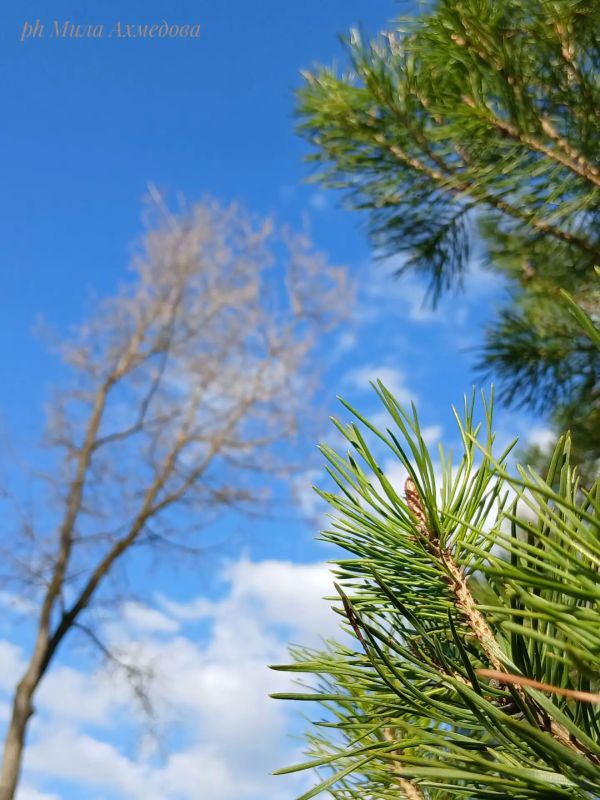 ������ ����, ������!. ������ �������� ���! : �������� ����� ������ � �������