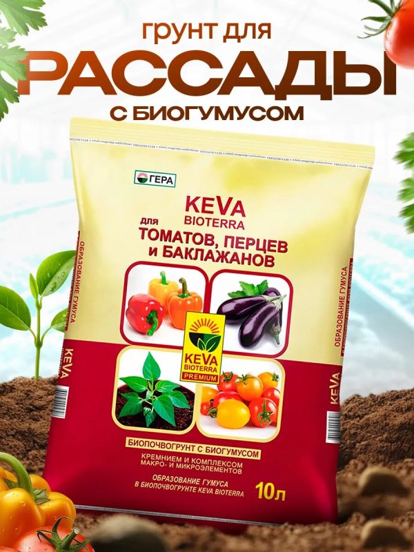 ����� �����: ��� ����� KEVA Bioterra �� ���� �������� ��������� ������ �����������