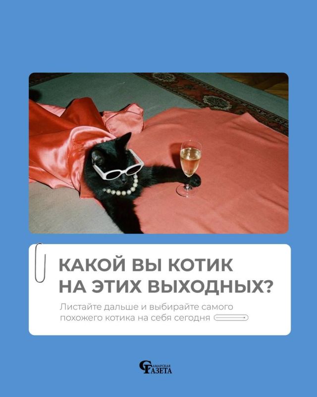 ����� �� ����� �� ���� ��������?