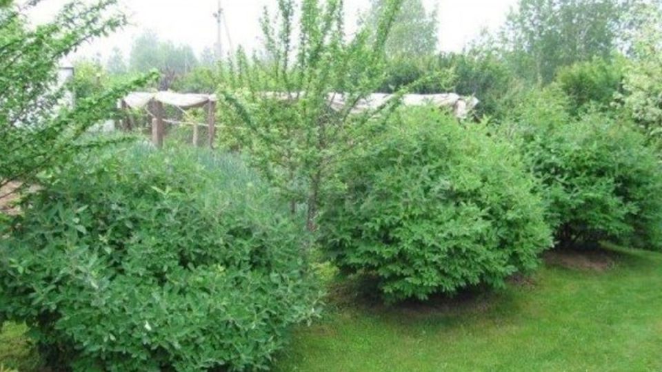 �������� � ������ �������: ��� ��������� �� ���������� ������