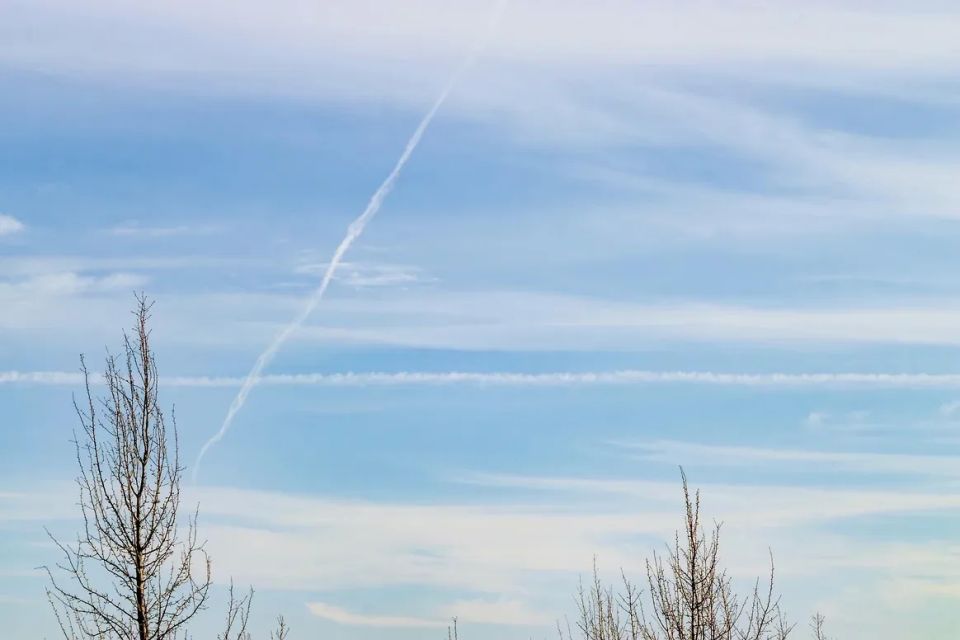 ��������� ���� ��������� ������������ ����������� ��������������� � �������