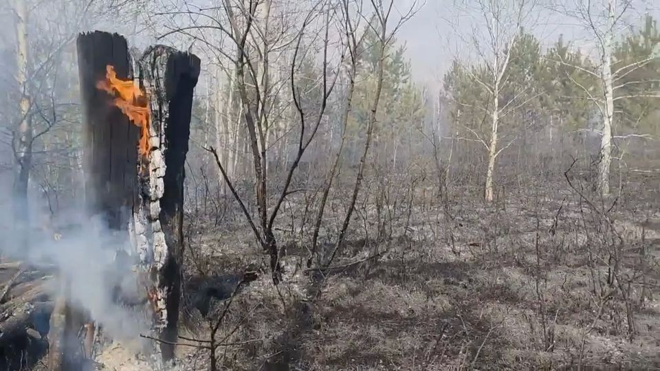 � �������� ������� ���� �������������� ������� ������ �����