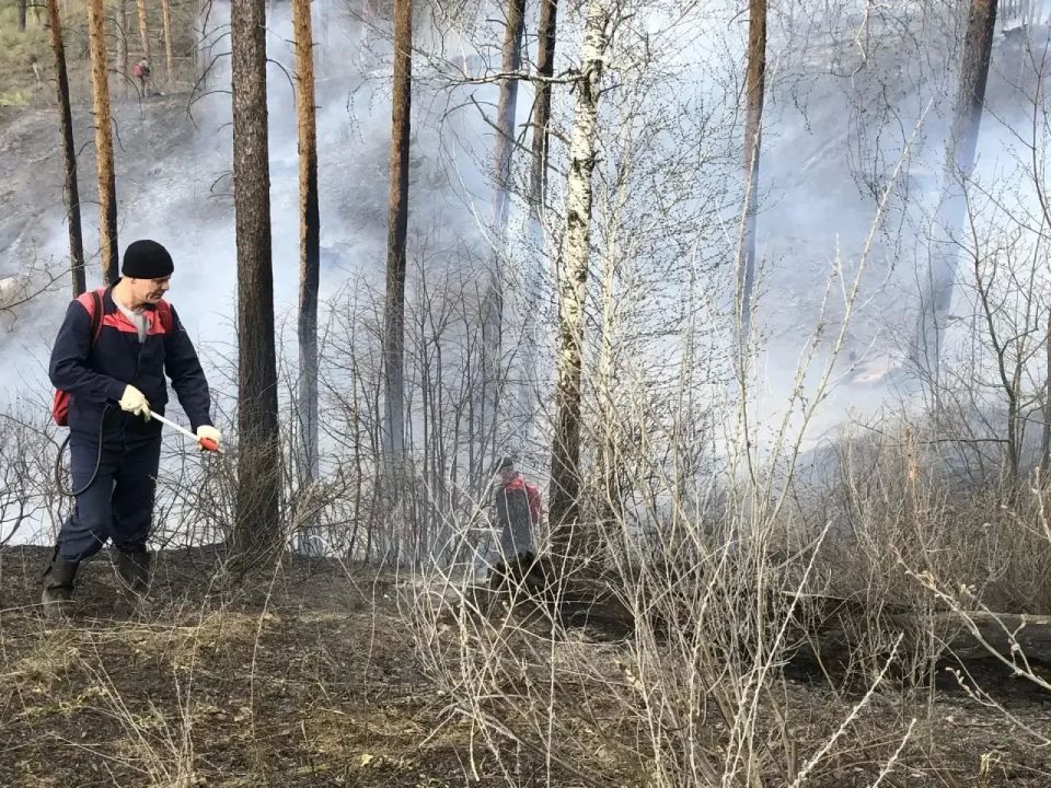 ����� �� ���������� ������ �����������