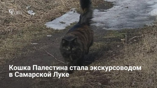 �� ���������� ������� � �������� ���������� ���� ��������� ��������� �����-��� �� ����� ���������