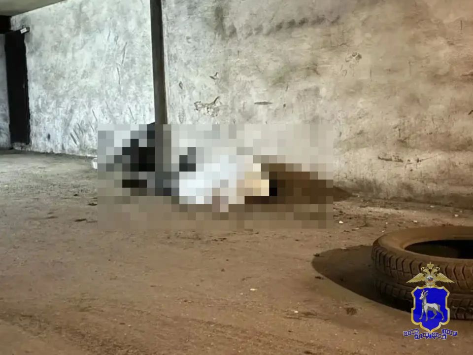 ����������� �������� �� ����� ��� � ������ ��������