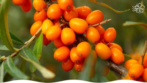 ��� ������� ����� ������� � ��������� ����� ��������