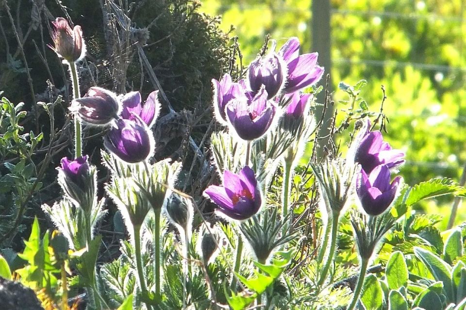 ���� �����������: ����� � ������ �������� ������