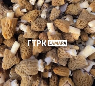 ��� ����� ������ �������� ������� ������� ���� ����������