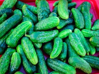 �� �� �����: ������ �������� ������ ����� �� �������