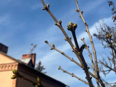 ������ ����!. 19 ������ ����������� ������� ���������� �� +13...+18 �C ��������� ������������ ����������, ��������������� �����, �������� ����� ����� ���-���������, 7...12 �/�