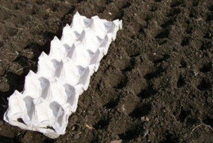 ���������� ����� ������� ������: ����������� ������� ��� ������ �������