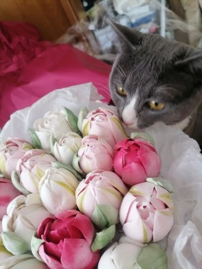 ��������� �������. ������� ������, ��� � ��� ����� ��������� � �������� ���� �����! : ��������� �������� �������� � ������������ ������������ ����� �������� ��������