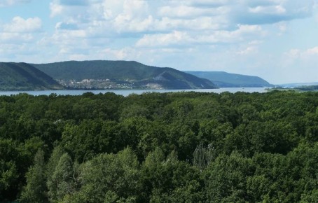 � ���������������� ������� ������� � ������ ������� ���������-������������� � ����������