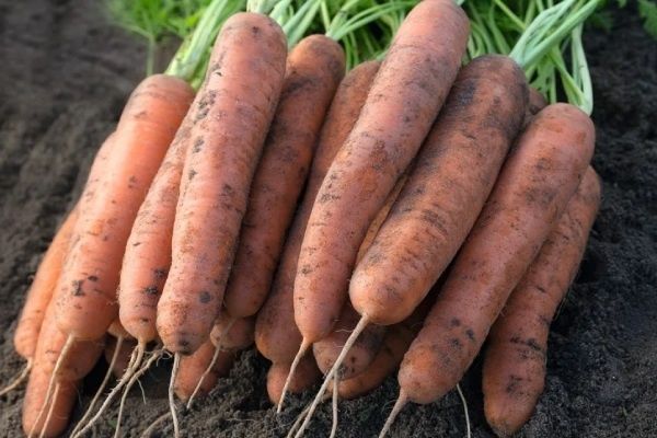 ������� �������: ��������� ����� ��� ������ �������