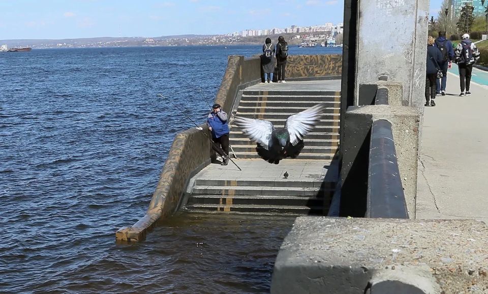 � ������ ���������� ������ � �������������� � ��������������� �������