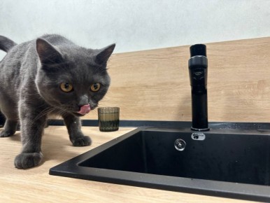 7 ���� ������ ��������� ��� �������� ���� 20 ������