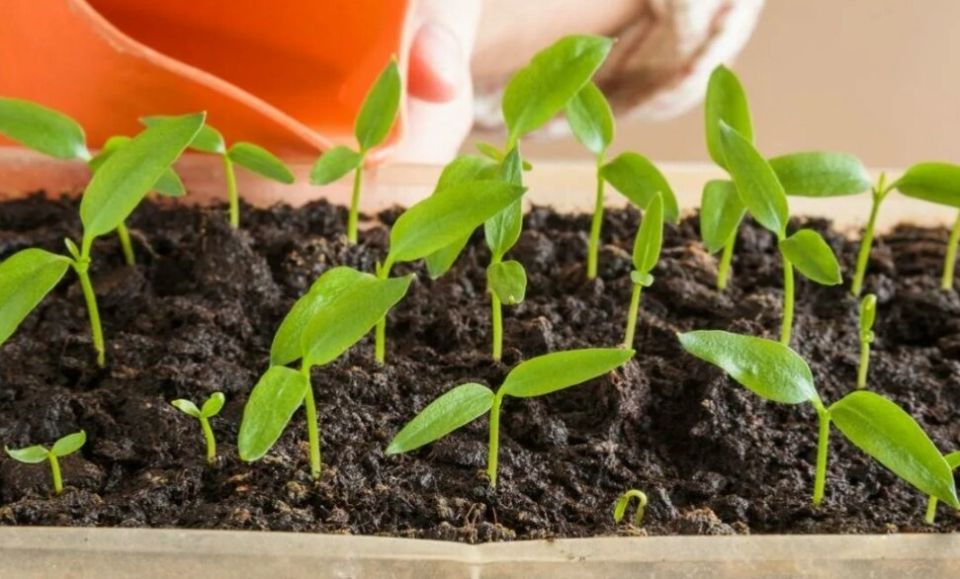 ������������ ����� � ��������� � ����������� �����