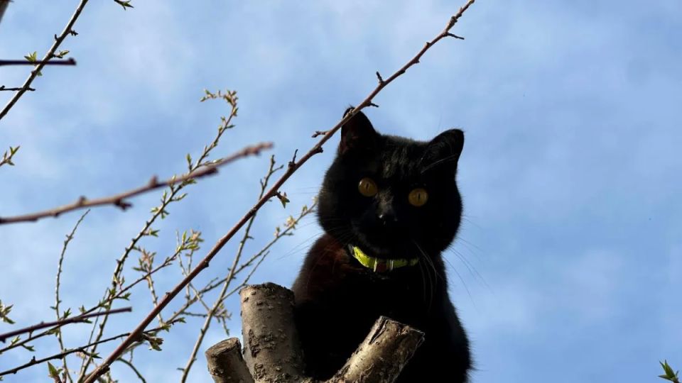 �������� ����������, ����� ����������� � ������� ��������� �� -3�C