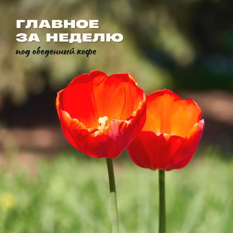 ����������� ������� ����� � � ��� �� ����������� ���������� � ���� ������������ ������� � ������� ����