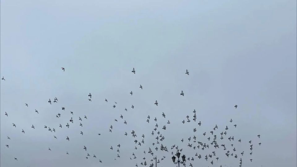 �������� ������ ������� ���������