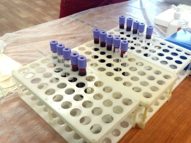 ���� ����� ����� - ���� �� �����: ������� ���������� ������������ ���� ������!