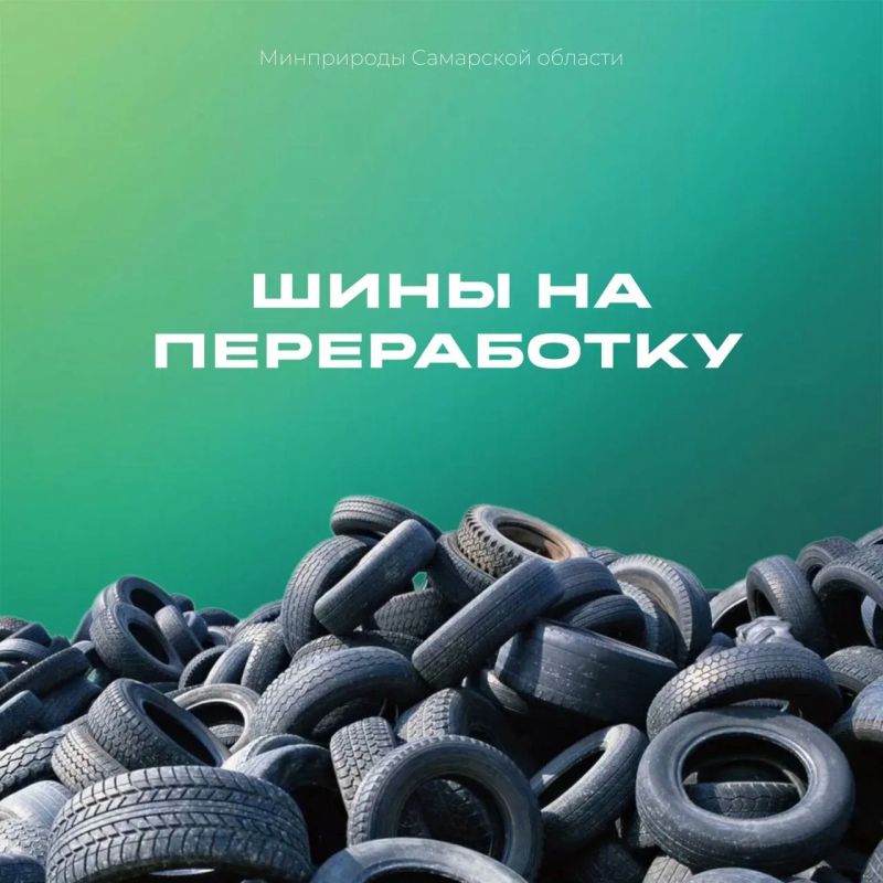 ���� ����� ���� �� �����������?