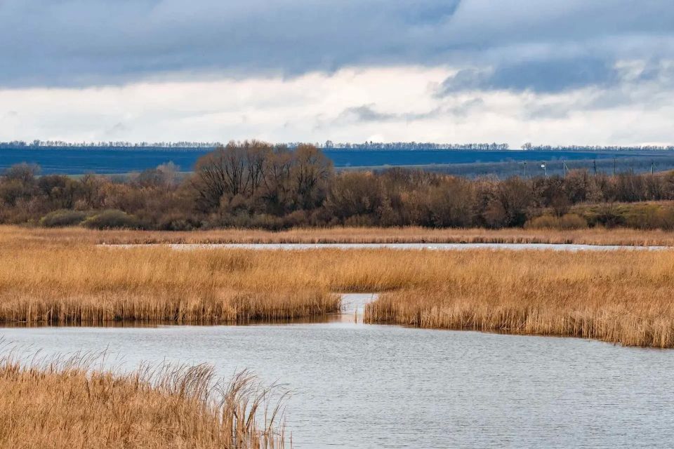 ����������� �������������. ����� ��� 13,7 ��. ����� ����� �������� ����� � ��� ������, � ��� �������