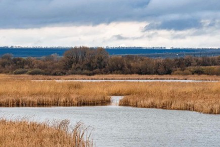 ����������� �������������. ����� ��� 13,7 ��. ����� ����� �������� ����� � ��� ������, � ��� �������