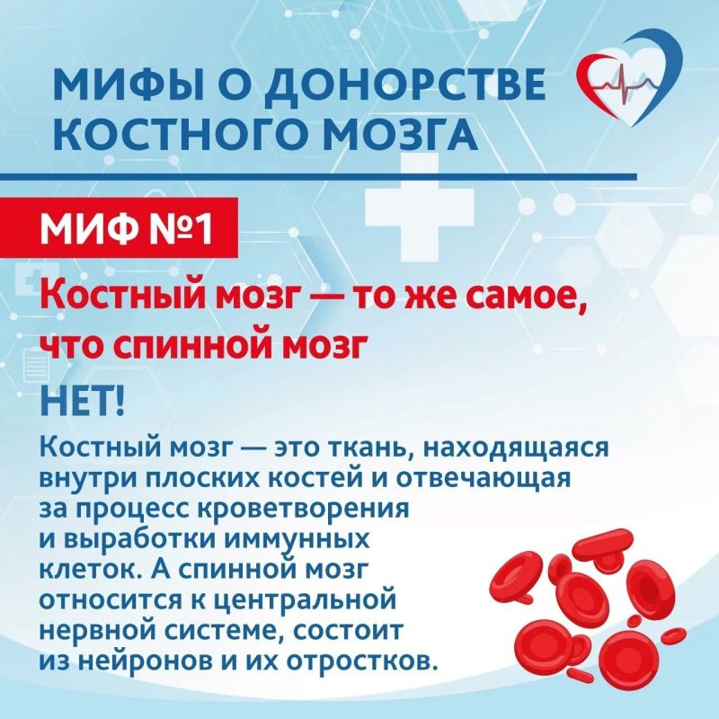 ���-10 ����� � ��������� �������� �����