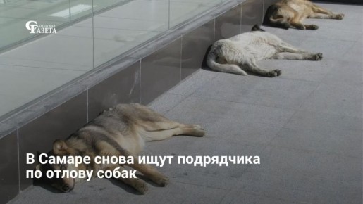 � ������ �������� ��������� ����� �� ����� ��������, ��� ��� �� ������� ������� ����� �� ��������