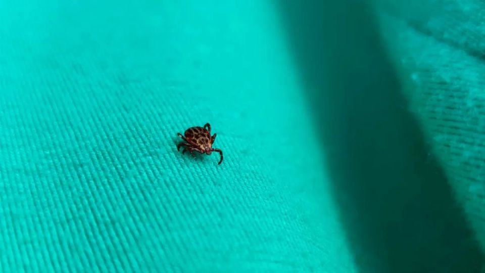 ����� 300 ������� ��������� ������� ���������� �� ������ ������ � ������ ������