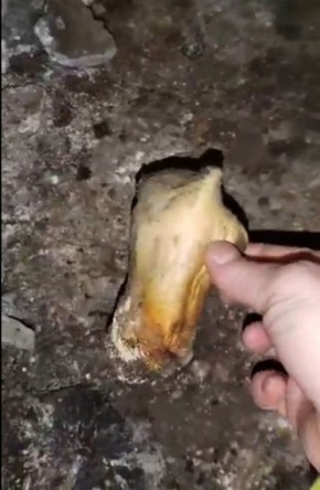 � �������� ��� ����� �������� ������ ����� �����