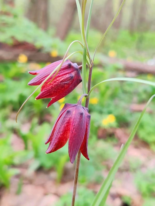 �� ���������� ����������� ����������� ����� ������ ������� � ������������� ������� ����� ������