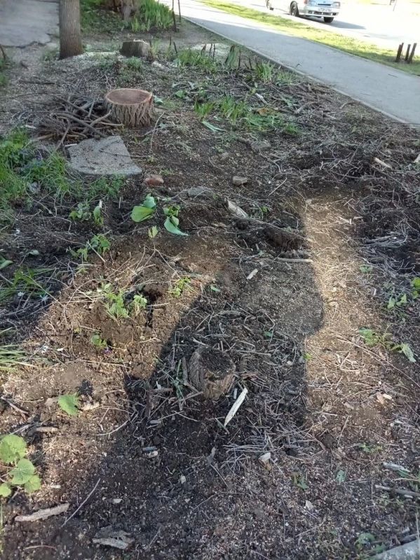 ������� ������������ �� �������� ������ ����� ����������� �����