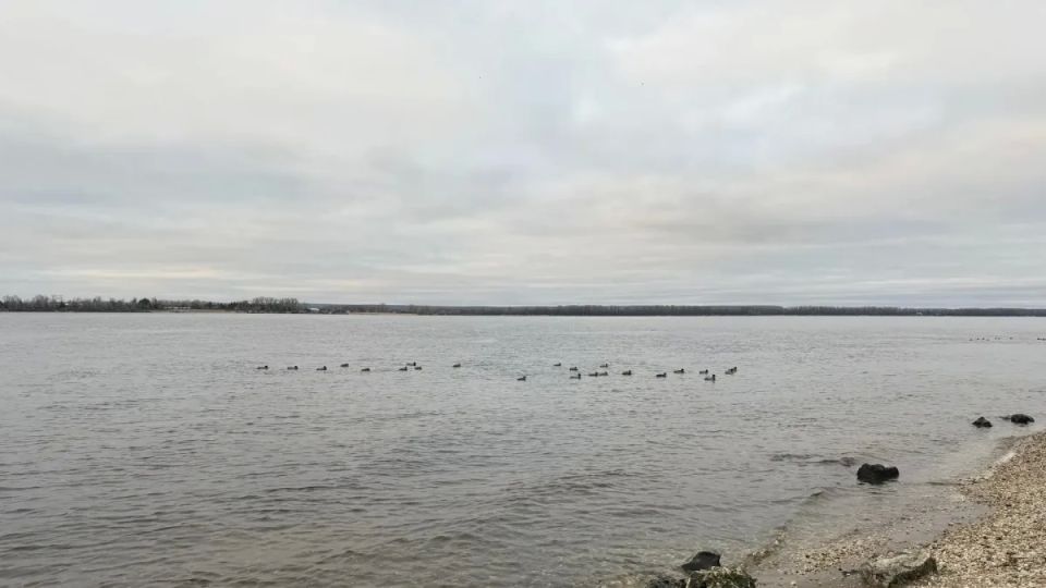 � 24 ������ �������� � ���� ���������� ���������� �������� ����� �� ����������� ������ �������� ������� � �����������