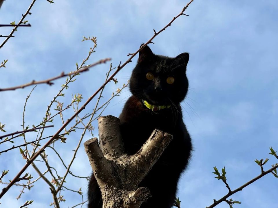 ������ ����!. 21 ������ ����������� ������� ���������� �� +5...+10 �C ��������� ������������ �������� ������ � ������������, ������� ��������� ����� ����� ���-��������, 8...13 �/�