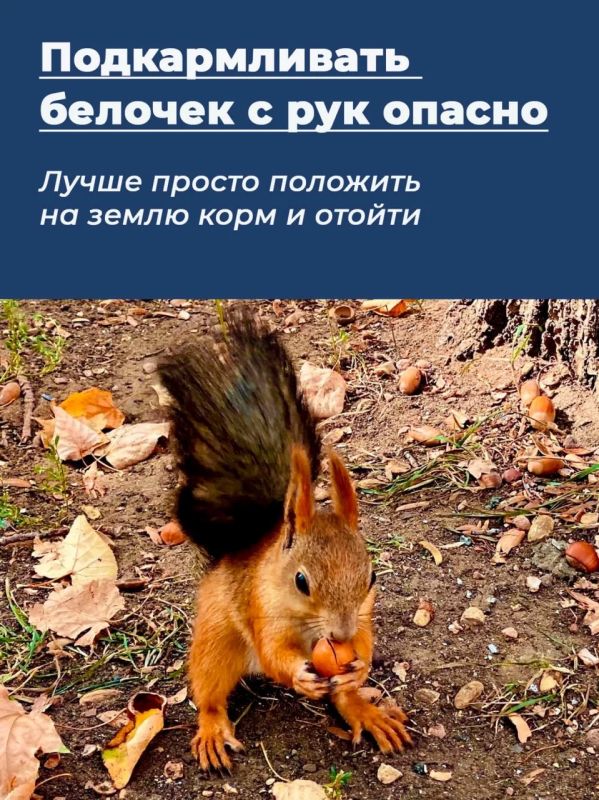 ������������� ������� � ��� ������