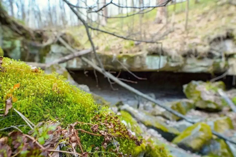 �������� �������� ����� � �������� ����� � ��������� ����