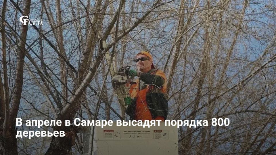 � ������ � ������ ������� ����� 800 �������� �� ������, ��� ����� ������ ��������� ����������