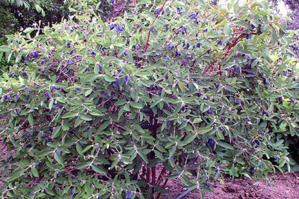 ��������� ����� ����� �����: ������� ������ ��� ��������� � 2025 ����