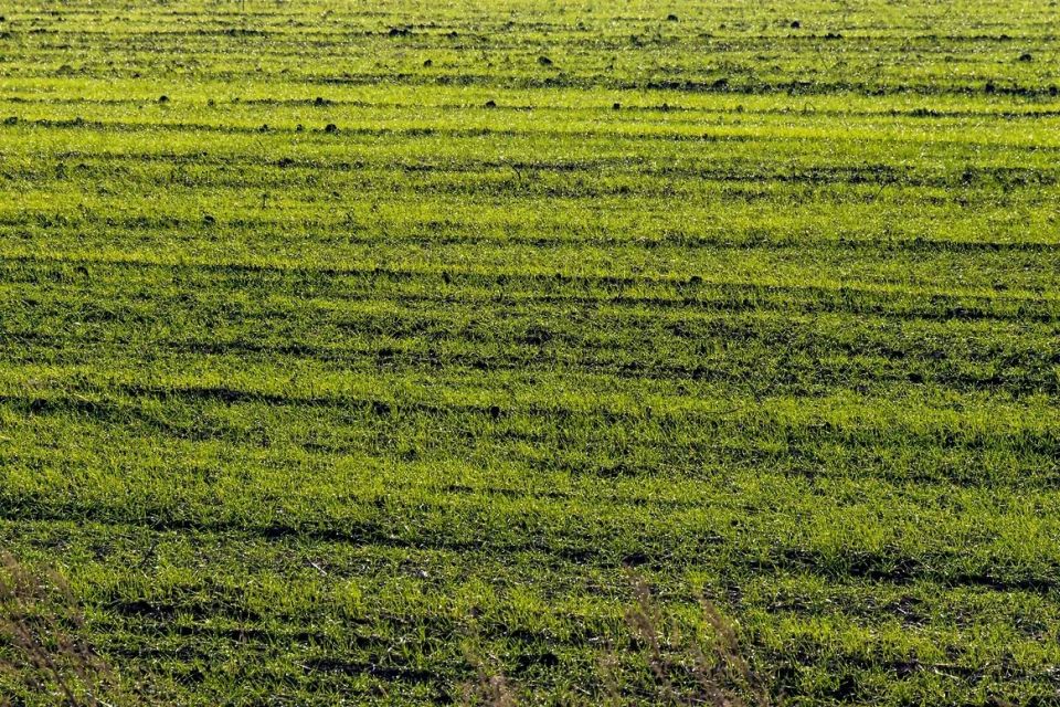 � ��������� ������� �� ����������� �������� ������� 48,3 �� �������������