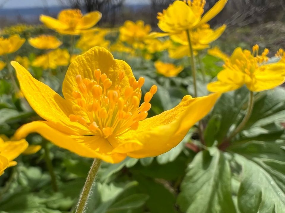 ������ ����!. 22 ������ ����������� ������� ���������� �� +4...+9 �C ��������� ������������ �������� ������ � ������������, ������� ��������� ������ � ���� ������� ����� � ����� ����� ��������, 7...12 �/�