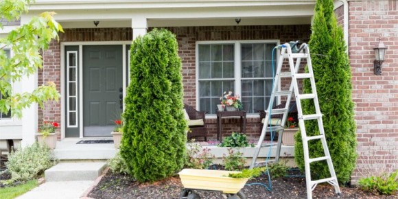 ������ ������� �������� ������ ���� ������: ������ �� ��������������